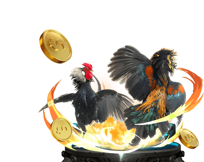 Cá cược thể thao VIP với tỷ lệ cược độc quyền